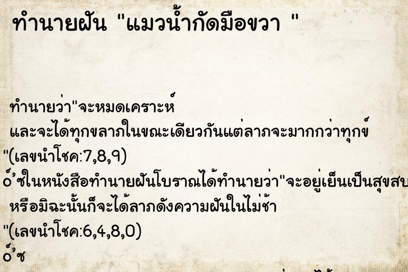 ทำนายฝัน แมวน้ำกัดมือขวา 